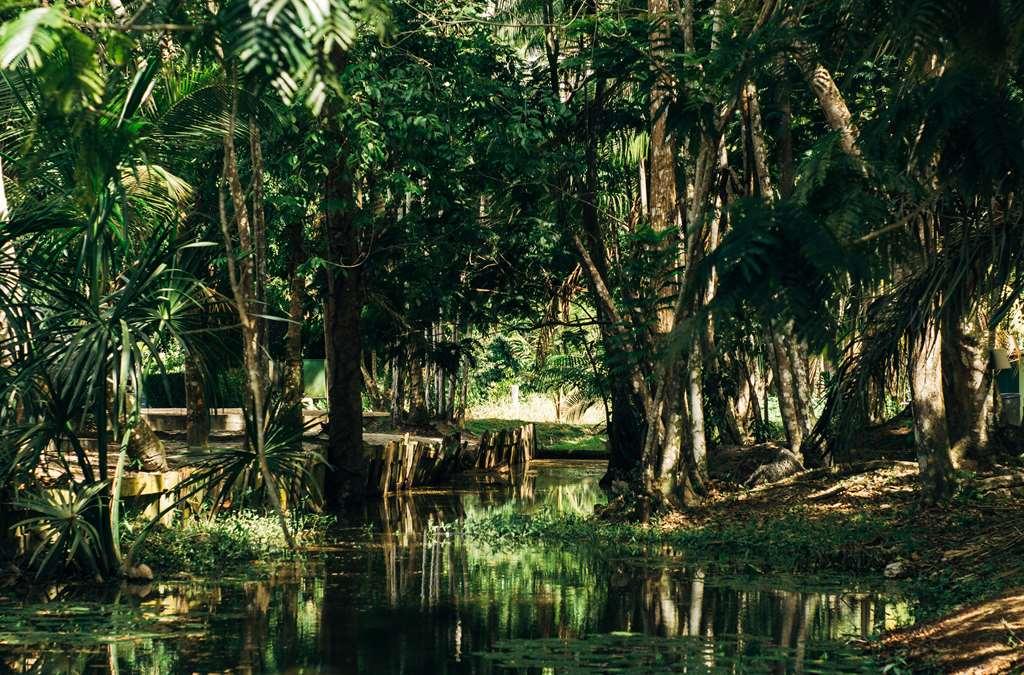 Overbridge River Resort Παραμαρίμπο Εξωτερικό φωτογραφία